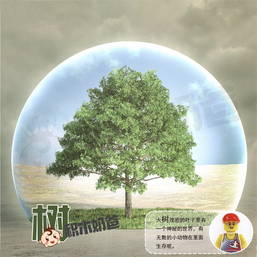 认识世界-树